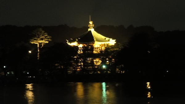the pagoda lit up at night reflects on the water